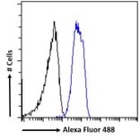 Flow Cytometry - Anti-Chromogranin A Antibody (A84217) - Antibodies.com