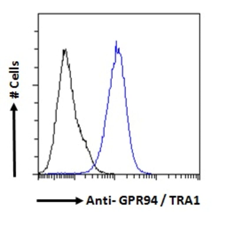 Flow Cytometry - Anti-GRP94 Antibody (A84222) - Antibodies.com