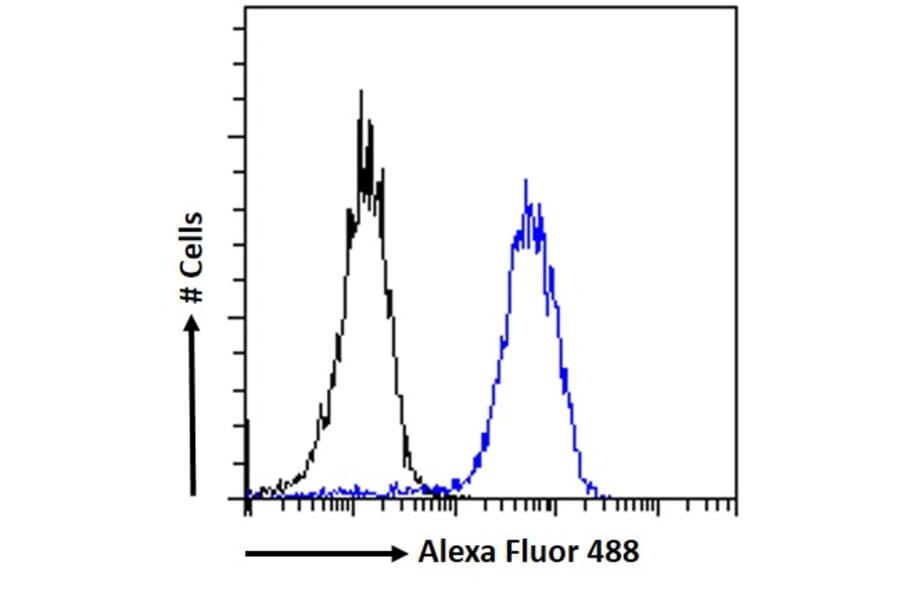 Flow Cytometry - Anti-ZNF217 Antibody (A84227) - Antibodies.com