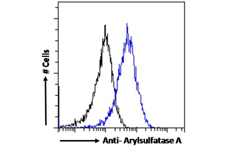 Flow Cytometry - Anti-ARSA/ASA Antibody (A84257) - Antibodies.com