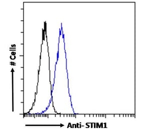 Flow Cytometry - Anti-Stromal Interaction Molecule 1 Antibody (A84261) - Antibodies.com