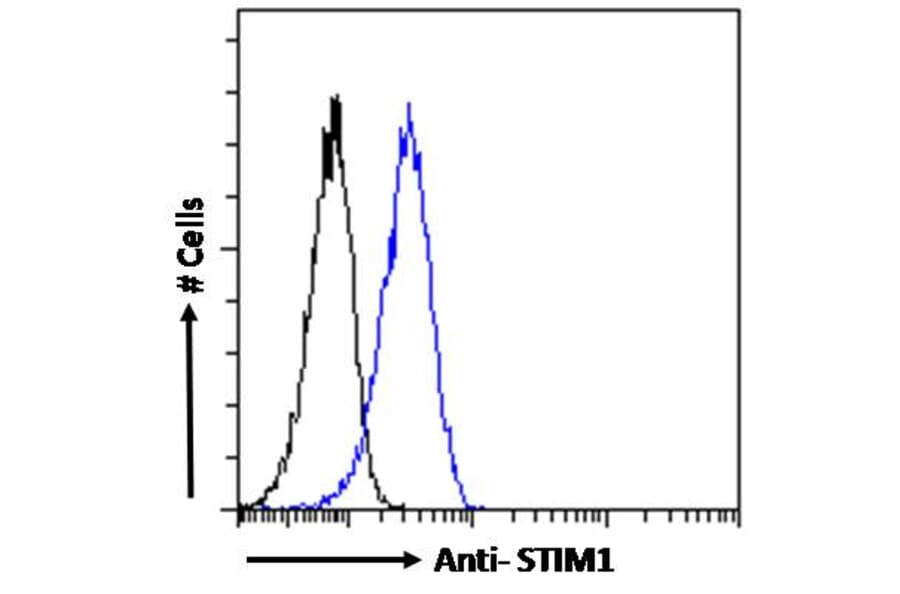 Flow Cytometry - Anti-Stromal Interaction Molecule 1 Antibody (A84261) - Antibodies.com