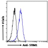 Flow Cytometry - Anti-Stromal Interaction Molecule 1 Antibody (A84261) - Antibodies.com