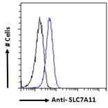 Flow Cytometry - Anti-xCT Antibody (A84265) - Antibodies.com