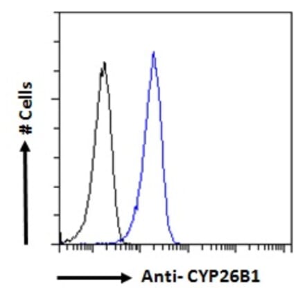 Flow Cytometry - Anti-Cyp26B1 Antibody (A84266) - Antibodies.com