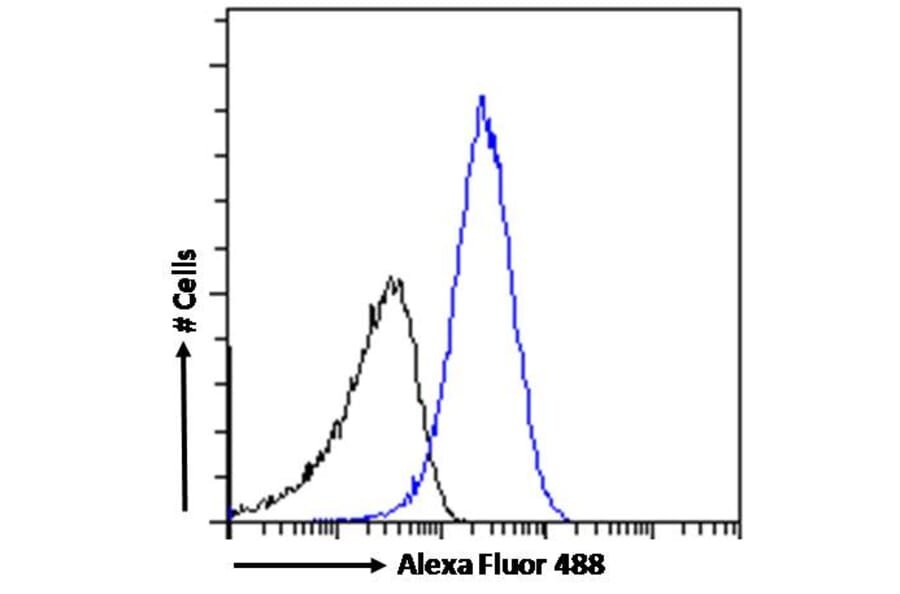 Flow Cytometry - Anti-PRPF31 Antibody (A84273) - Antibodies.com