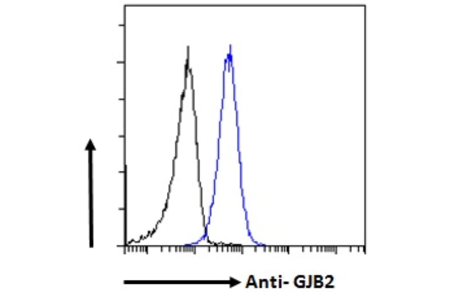 Flow Cytometry - Anti-GJB2 Antibody (A84275) - Antibodies.com