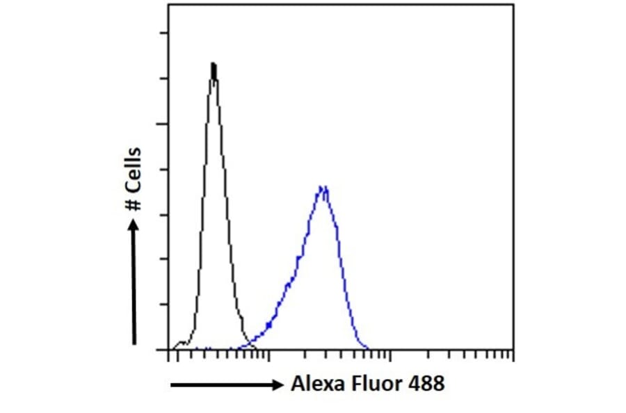 Flow Cytometry - Anti-Bile Acid Receptor NR1H4 Antibody (A84276) - Antibodies.com
