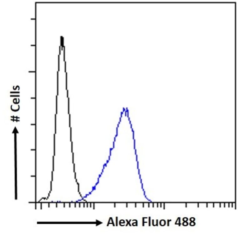 Flow Cytometry - Anti-Bile Acid Receptor NR1H4 Antibody (A84276) - Antibodies.com