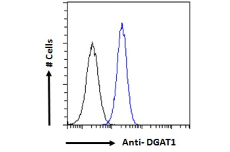 Flow Cytometry - Anti-DGAT1 Antibody (A84286) - Antibodies.com