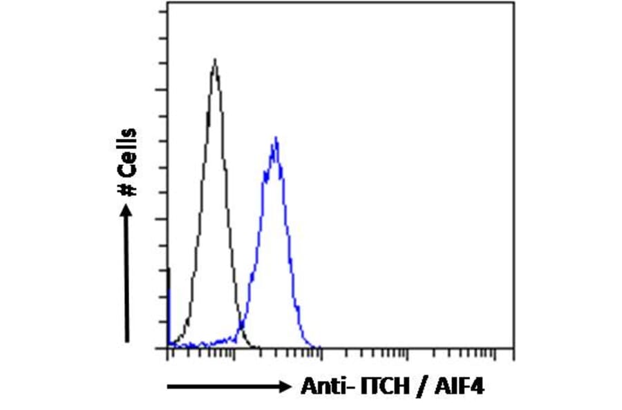 Flow Cytometry - Anti-ITCH/AIP4 Antibody (A84307) - Antibodies.com