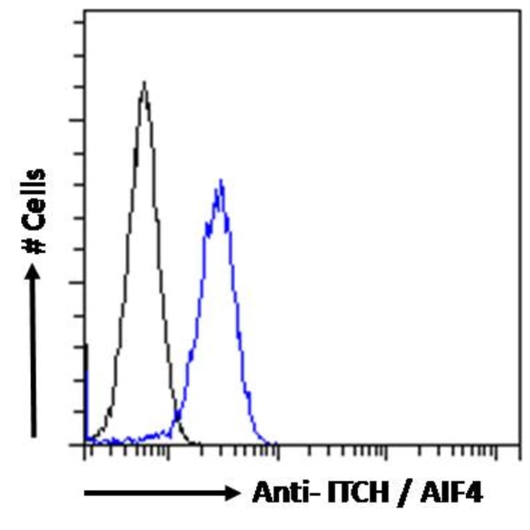 Flow Cytometry - Anti-ITCH/AIP4 Antibody (A84307) - Antibodies.com