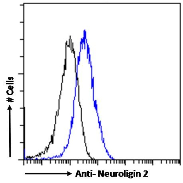 Flow Cytometry - Anti-Neuroligin 2 Antibody (A84310) - Antibodies.com