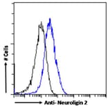 Flow Cytometry - Anti-Neuroligin 2 Antibody (A84310) - Antibodies.com