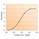 ELISA - Anti-ACACB Antibody (A84337) - Antibodies.com
