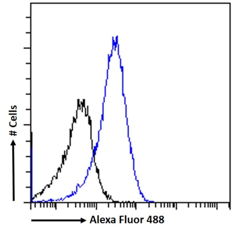 Flow Cytometry - Anti-NR0B1/Dax1 Antibody (A84345) - Antibodies.com