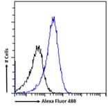 Flow Cytometry - Anti-NR0B1/Dax1 Antibody (A84345) - Antibodies.com