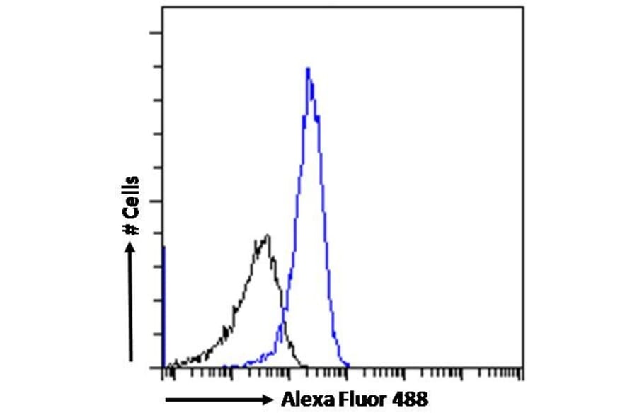 Flow Cytometry - Anti-DPP4 Antibody (A84354) - Antibodies.com