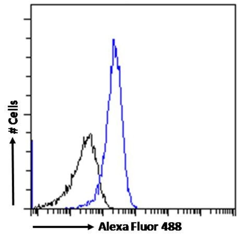 Flow Cytometry - Anti-DPP4 Antibody (A84354) - Antibodies.com
