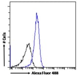Flow Cytometry - Anti-DPP4 Antibody (A84354) - Antibodies.com