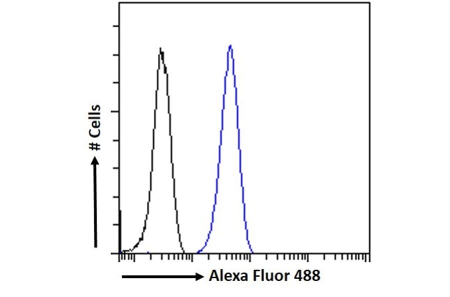 Flow Cytometry - Anti-PGC1 alpha Antibody (A84356) - Antibodies.com