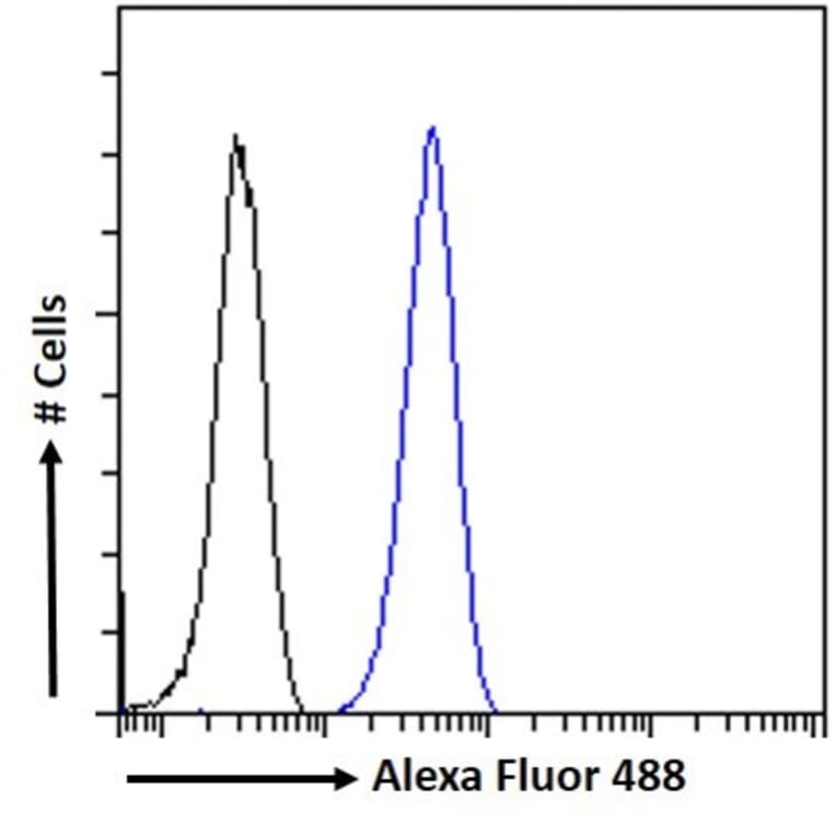 Flow Cytometry - Anti-PGC1 alpha Antibody (A84356) - Antibodies.com