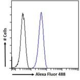 Flow Cytometry - Anti-PGC1 alpha Antibody (A84356) - Antibodies.com