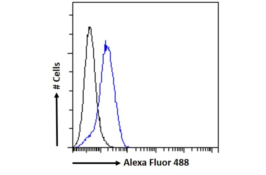 Flow Cytometry - Anti-TREM2 Antibody (A84373) - Antibodies.com
