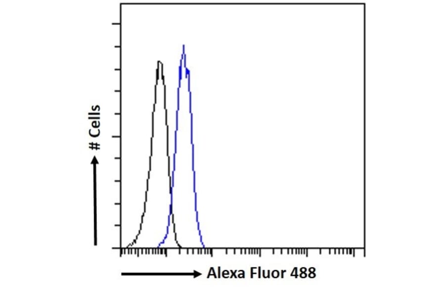 Flow Cytometry - Anti-PINK1 Antibody (A84378) - Antibodies.com