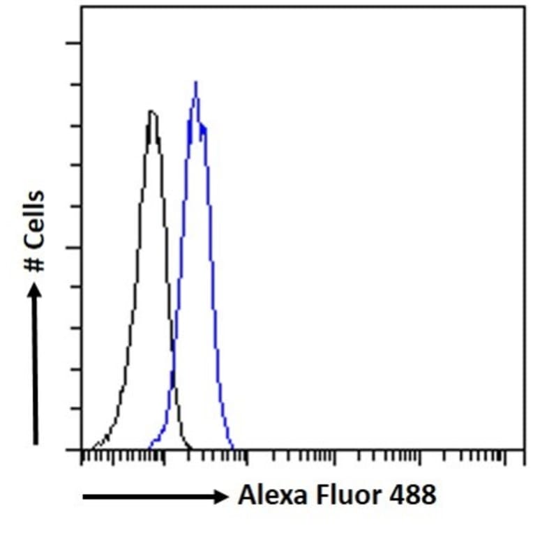 Flow Cytometry - Anti-PINK1 Antibody (A84378) - Antibodies.com