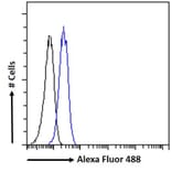 Flow Cytometry - Anti-PINK1 Antibody (A84378) - Antibodies.com