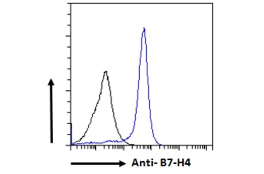 Flow Cytometry - Anti-B7H4 Antibody (A84379) - Antibodies.com