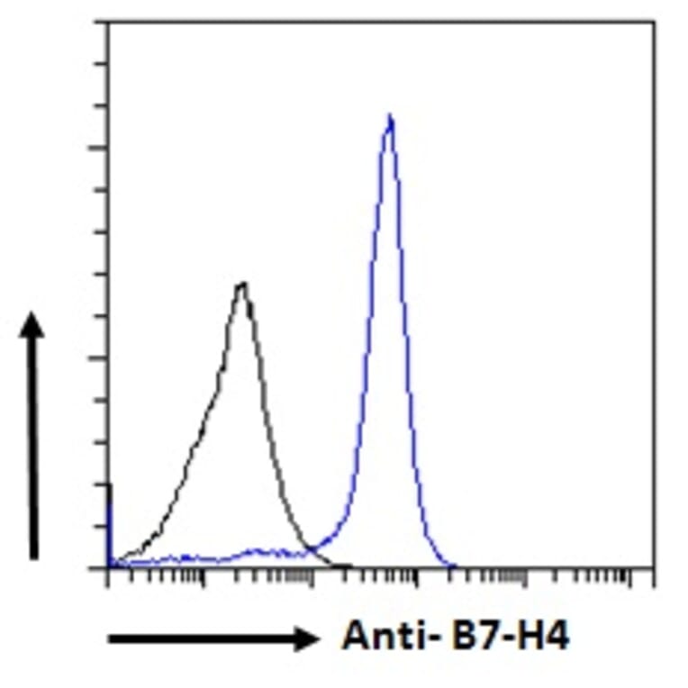 Flow Cytometry - Anti-B7H4 Antibody (A84379) - Antibodies.com