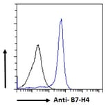 Flow Cytometry - Anti-B7H4 Antibody (A84379) - Antibodies.com