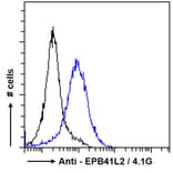 Flow Cytometry - Anti-EPB41L2 Antibody (A84421) - Antibodies.com