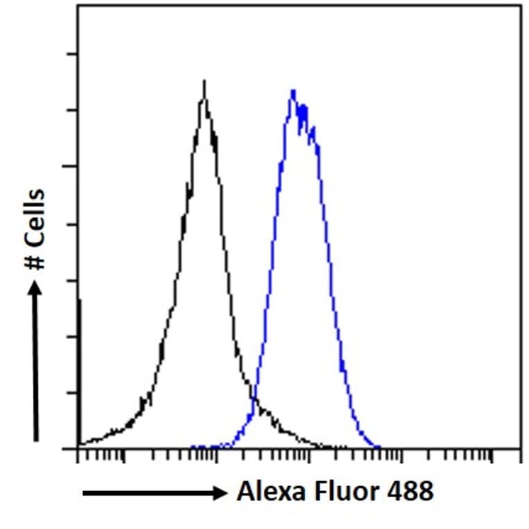 Flow Cytometry - Anti-EBPL41L5 Antibody (A84448) - Antibodies.com