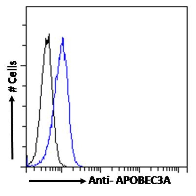Flow Cytometry - Anti-APOBEC3A Antibody (A84453) - Antibodies.com