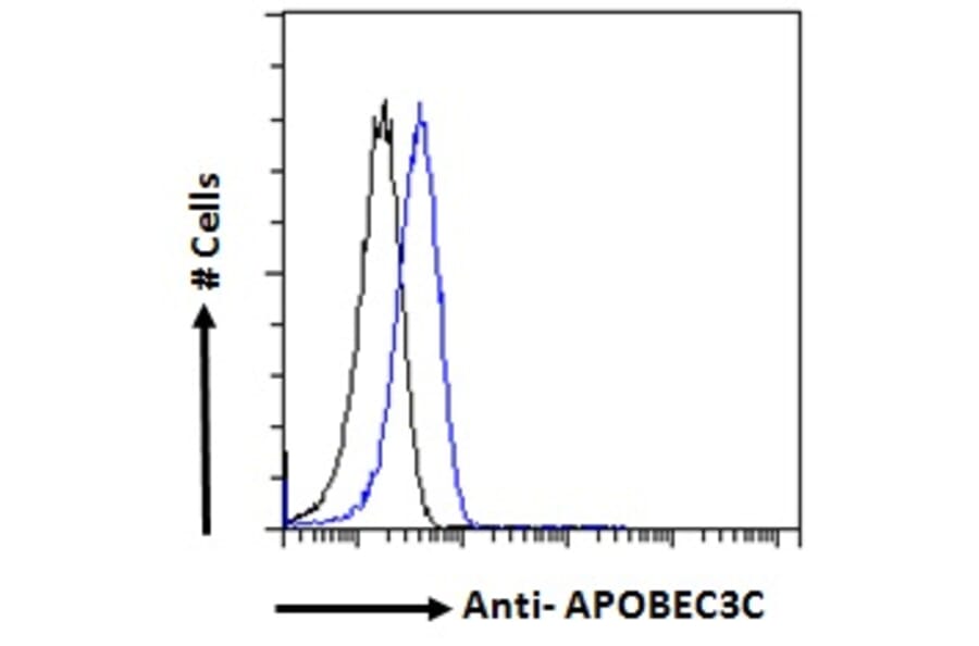 Flow Cytometry - Anti-APOBEC3C/PBI Antibody (A84461) - Antibodies.com