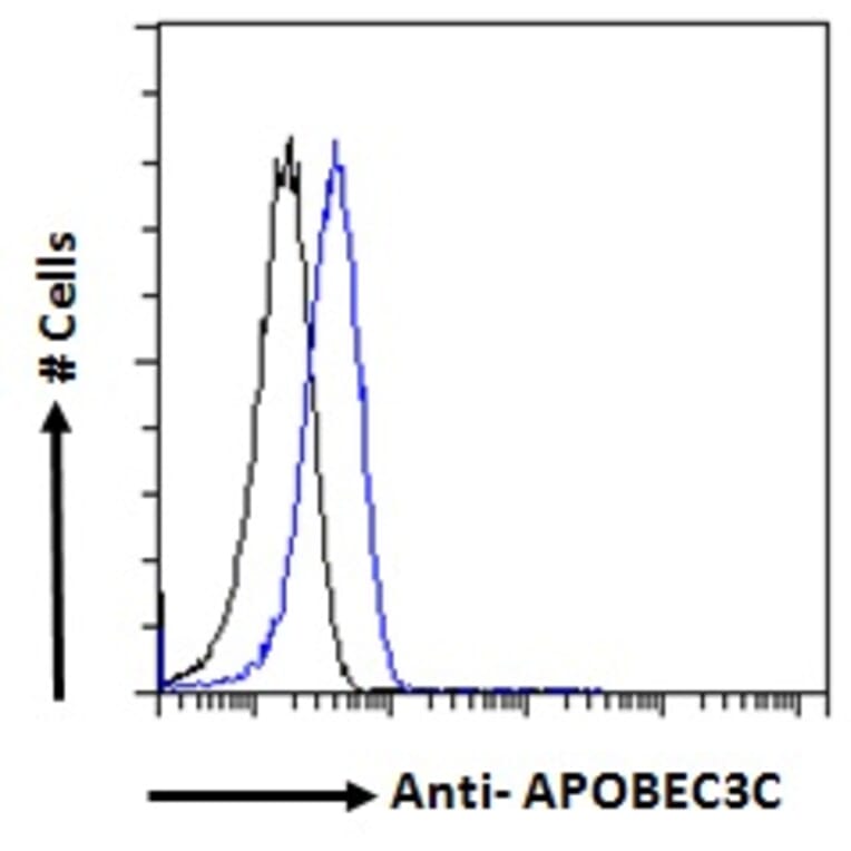 Flow Cytometry - Anti-APOBEC3C/PBI Antibody (A84461) - Antibodies.com