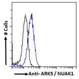 Flow Cytometry - Anti-ARK5 Antibody (A84498) - Antibodies.com