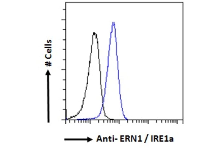 Flow Cytometry - Anti-IRE1 Antibody (A84523) - Antibodies.com