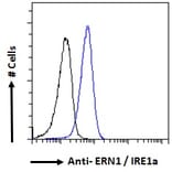 Flow Cytometry - Anti-IRE1 Antibody (A84523) - Antibodies.com