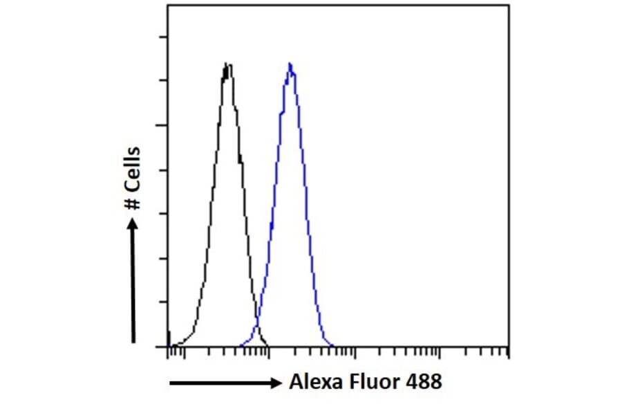 Flow Cytometry - Anti-Myosin Phosphatase Antibody (A84532) - Antibodies.com