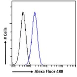 Flow Cytometry - Anti-Myosin Phosphatase Antibody (A84532) - Antibodies.com