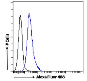 Flow Cytometry - Anti-ABCA9 Antibody (A84535) - Antibodies.com