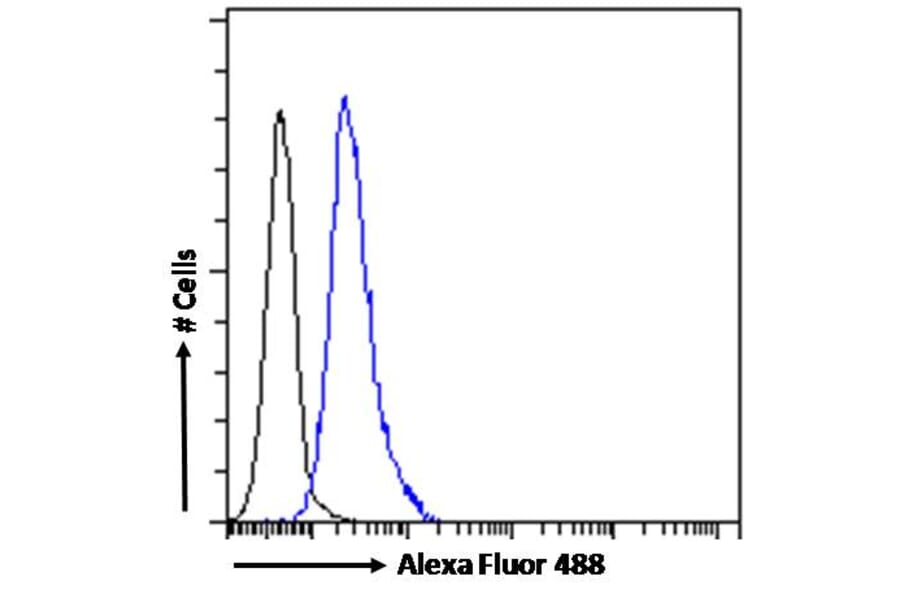 Flow Cytometry - Anti-ABCA9 Antibody (A84535) - Antibodies.com