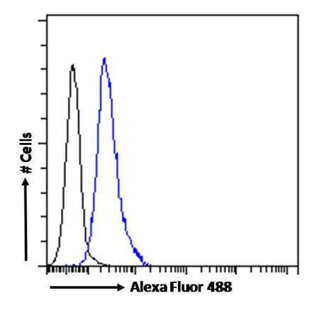 Flow Cytometry - Anti-ABCA9 Antibody (A84535) - Antibodies.com