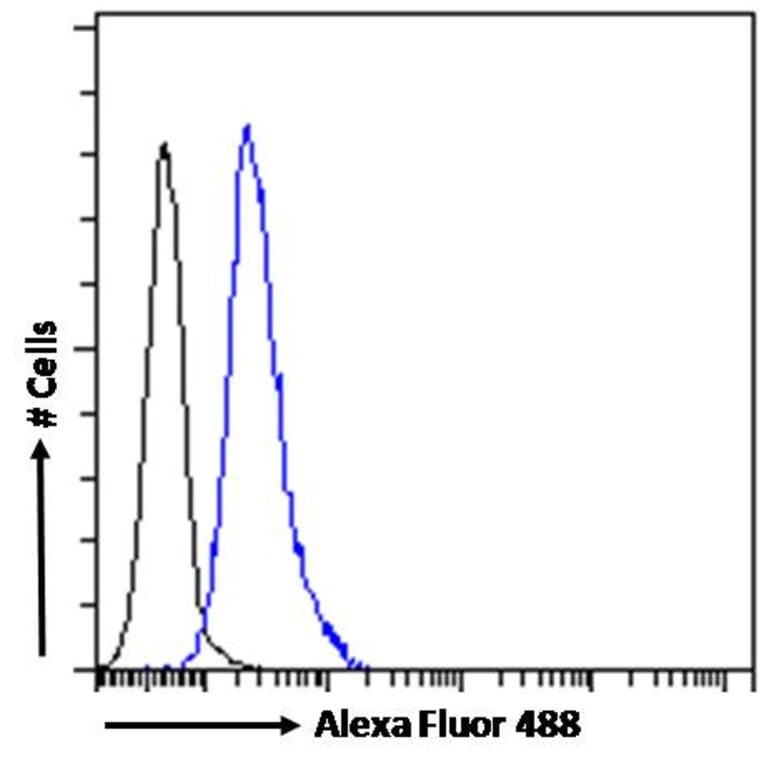 Flow Cytometry - Anti-ABCA9 Antibody (A84535) - Antibodies.com