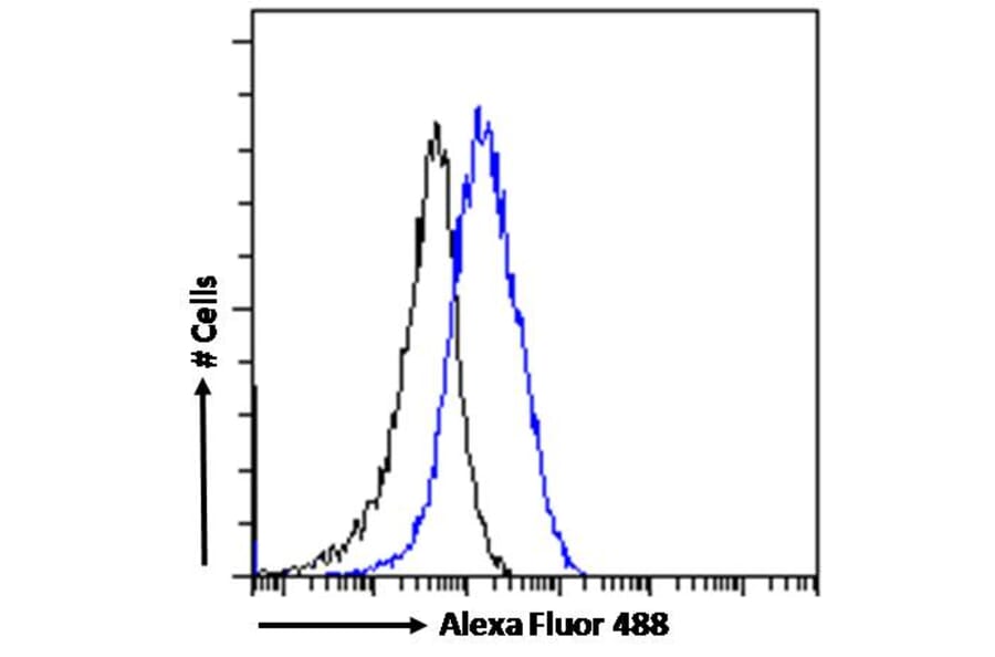 Flow Cytometry - Anti-P2X4 Antibody (A84570) - Antibodies.com
