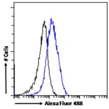 Flow Cytometry - Anti-P2X4 Antibody (A84570) - Antibodies.com